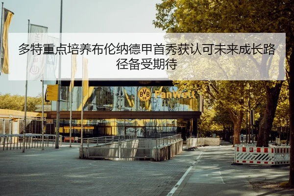 多特重点培养布伦纳德甲首秀获认可未来成长路径备受期待